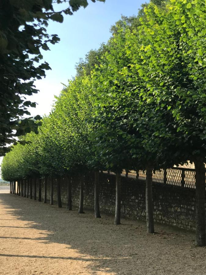 Fontevraud Maison De Ville Bnb מראה חיצוני תמונה